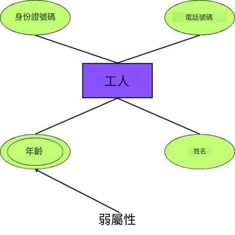 資料庫ER圖定義-弱屬性繪製教學