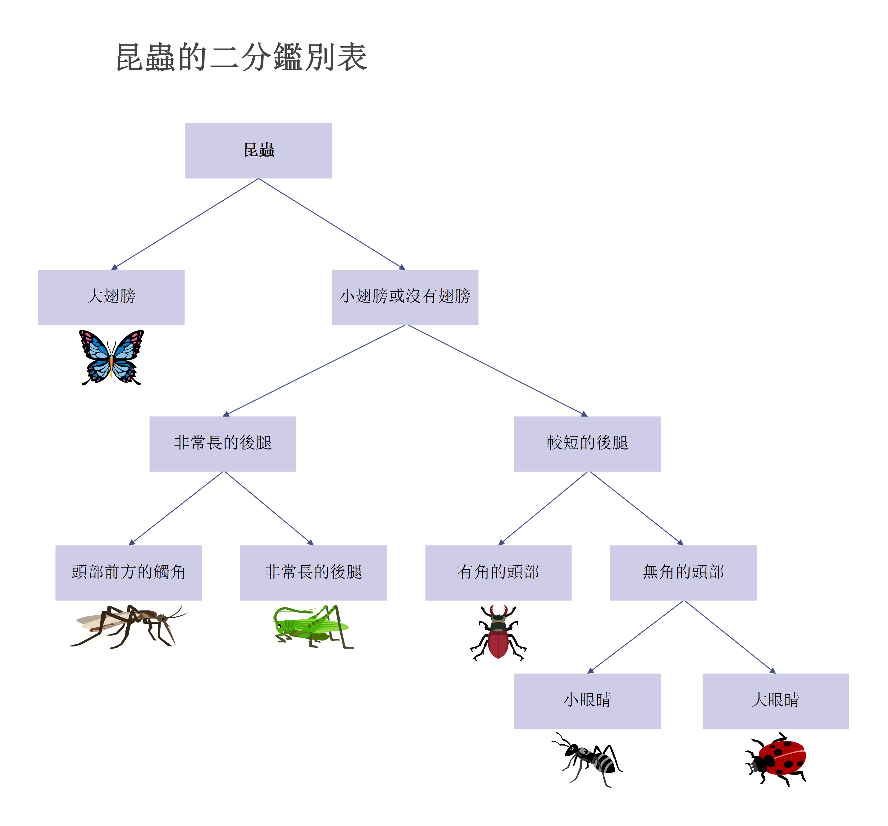 二歧式檢索表範例-什麼是二歧式檢索表