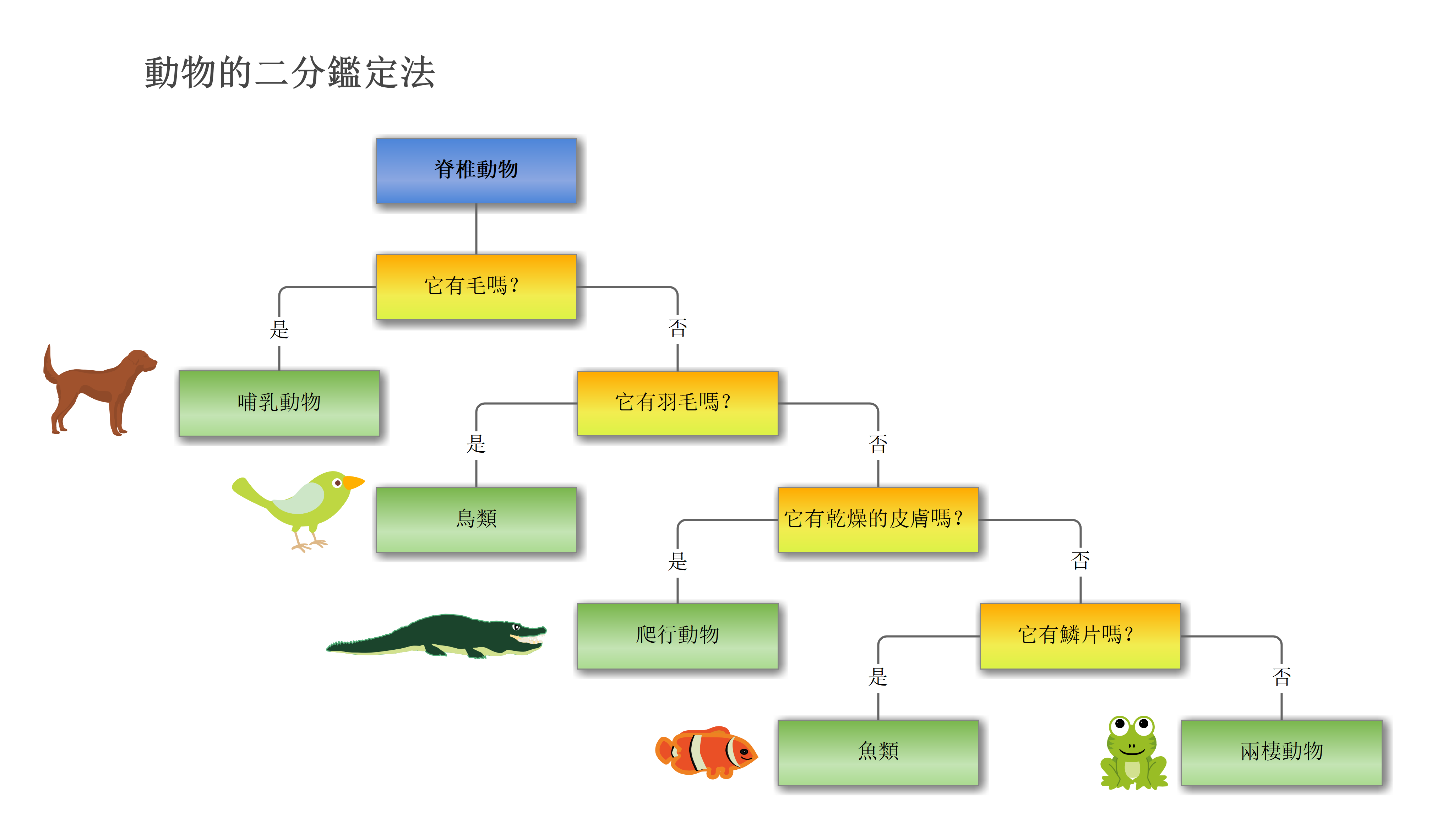 如何製作二歧式檢索表-動物二歧式檢索表