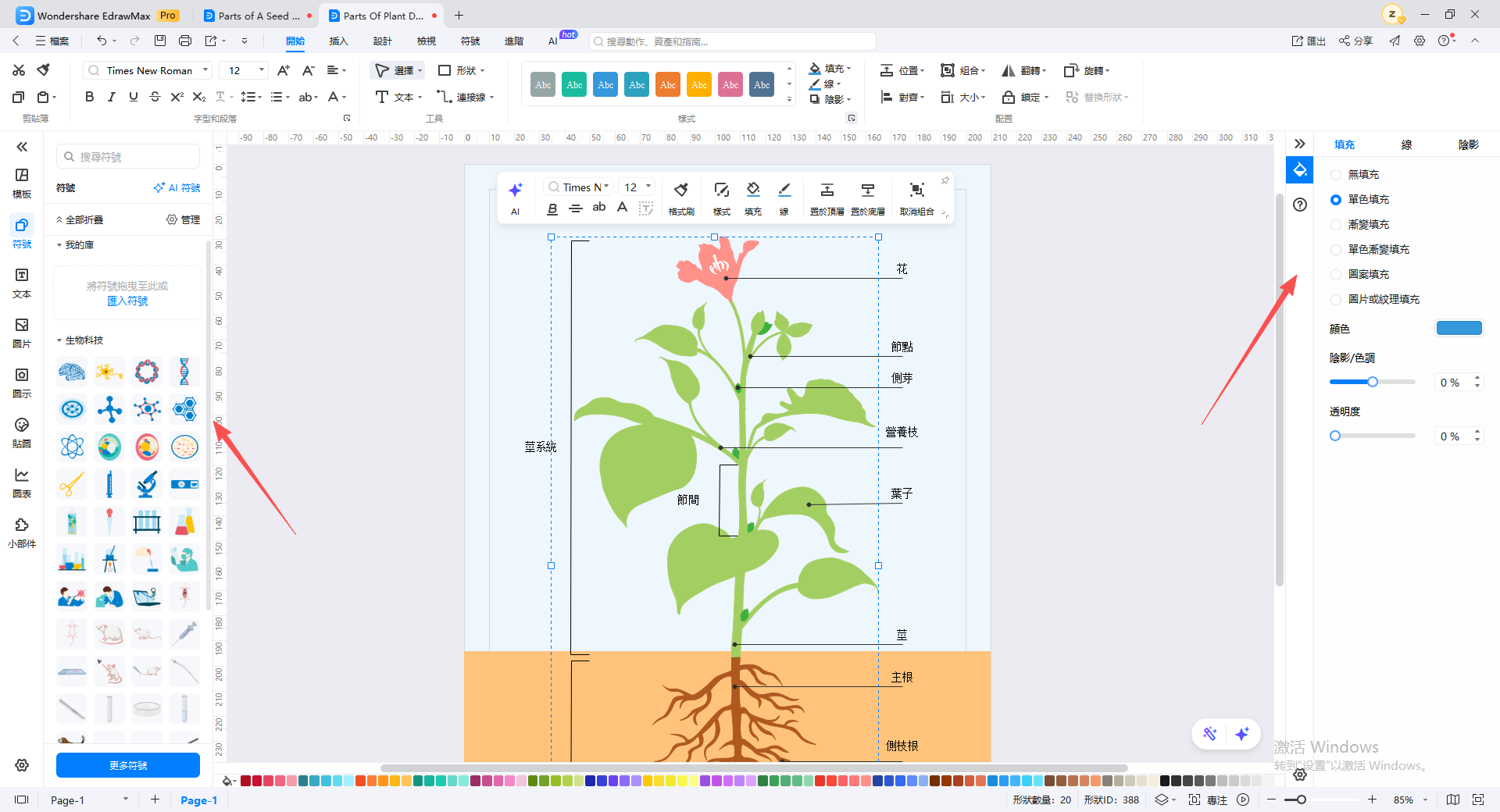 植物的構造,兒童版植物構造 -線上製圖步驟3