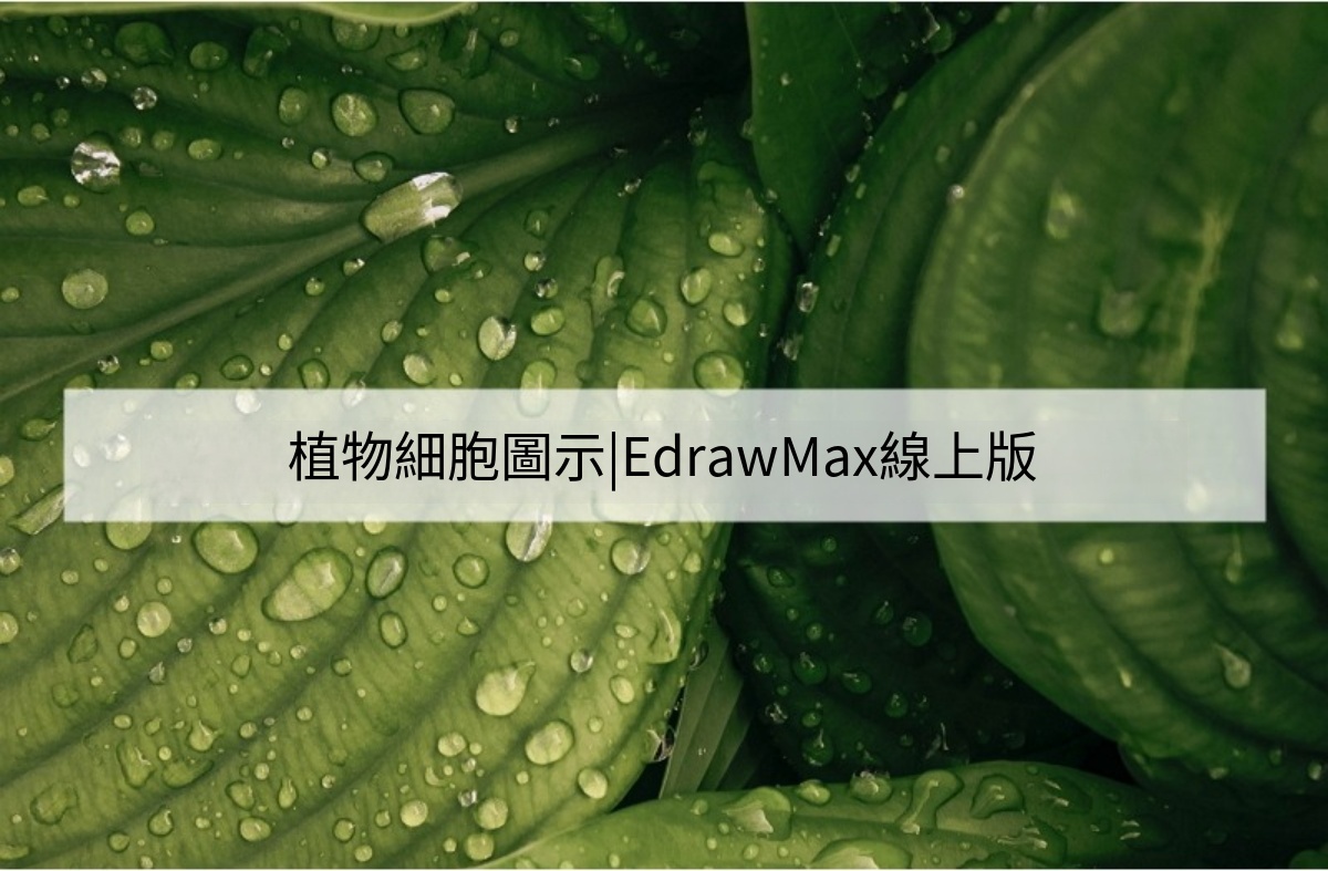 植物細胞構造圖-植物圖解