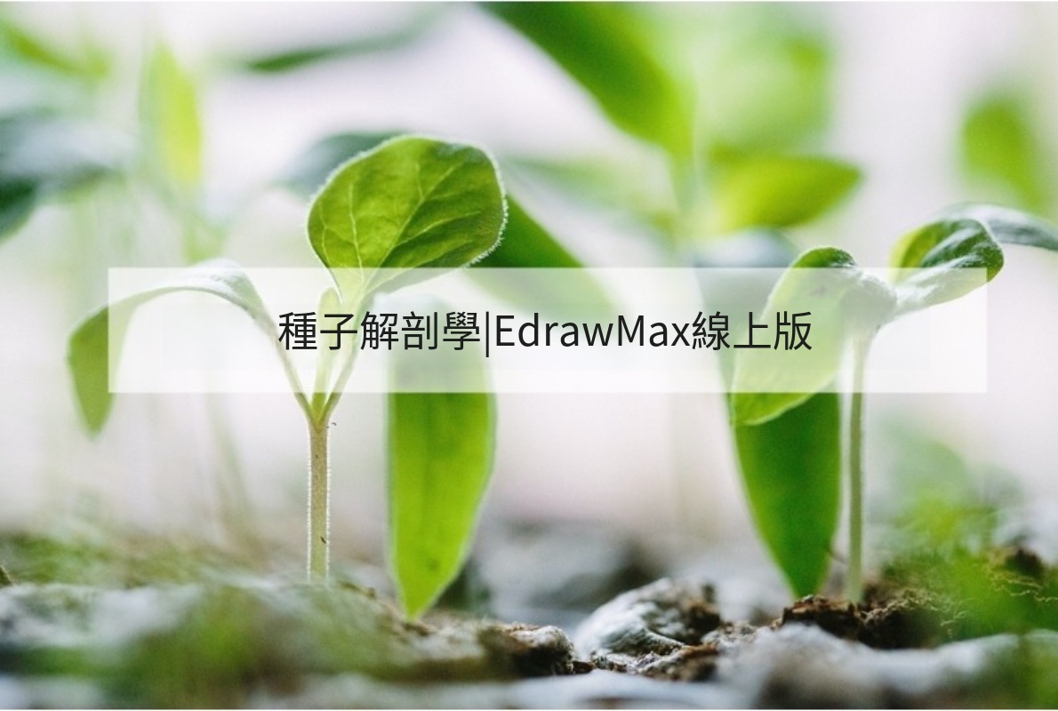 種子構造圖-種子基礎構造圖