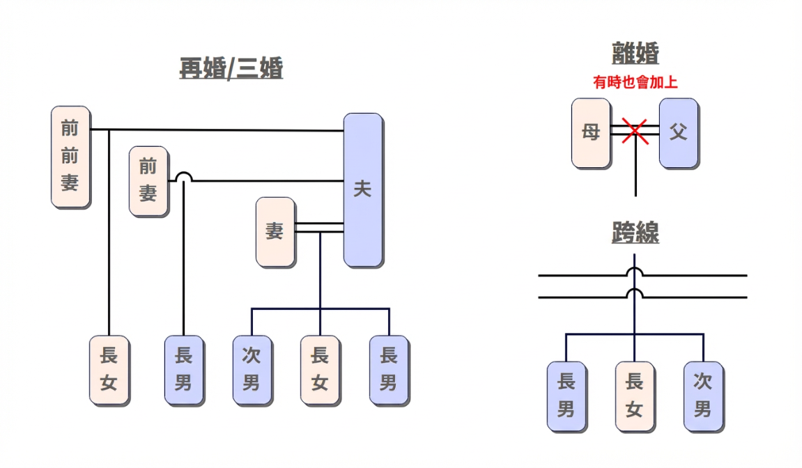家族樹怎麼畫-家 系圖 繪製方式 2