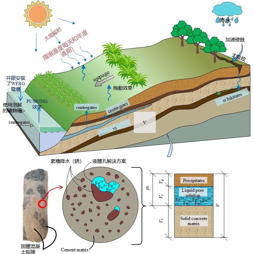 EdrawMax-光照對湖泊地下水中礦物離子的影響分析示意圖