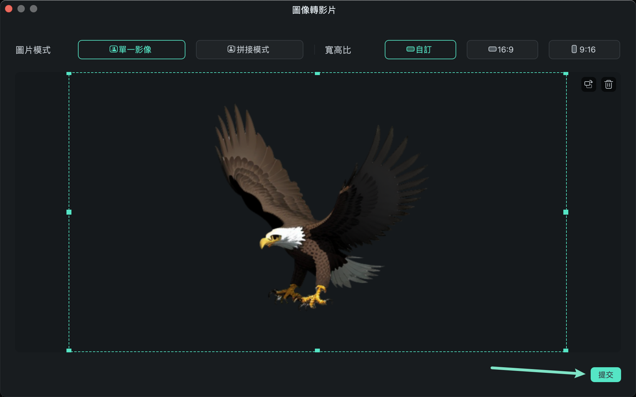 裁切並加入圖片元素