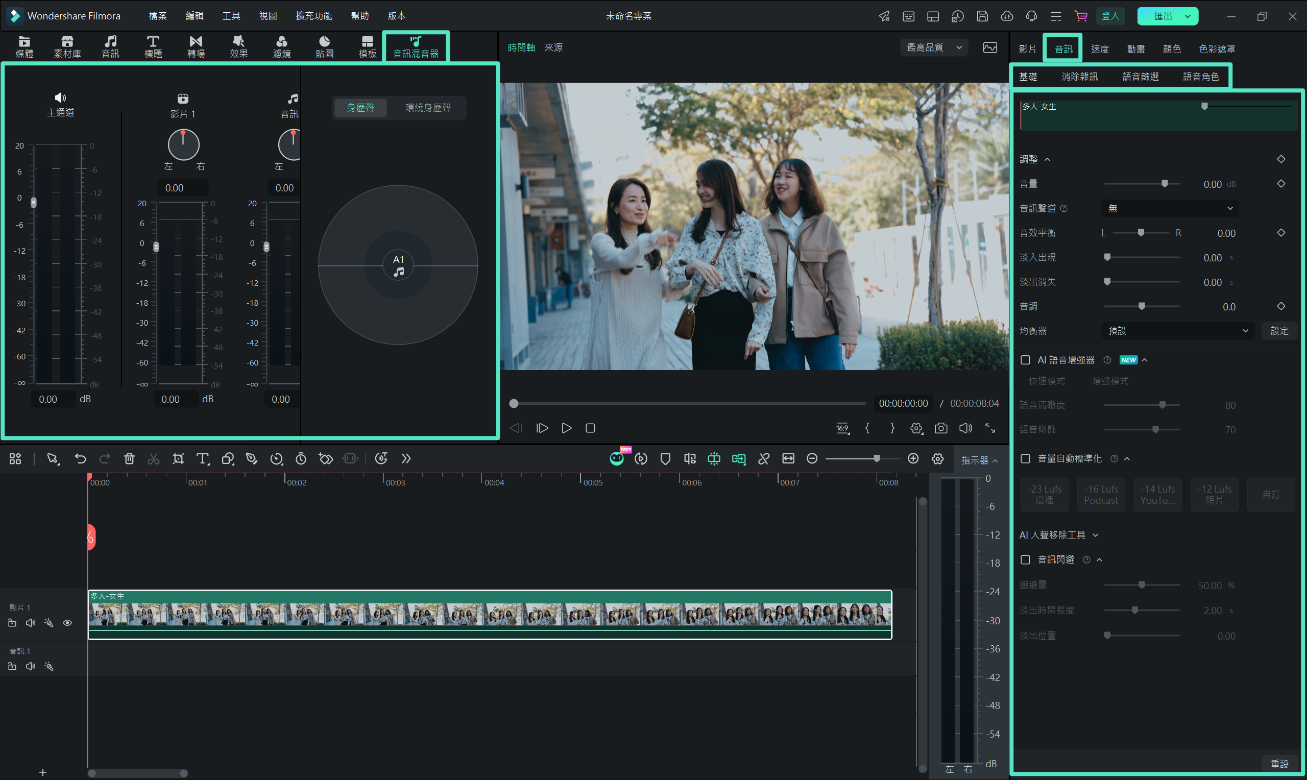 Filmora 中的音訊屬性