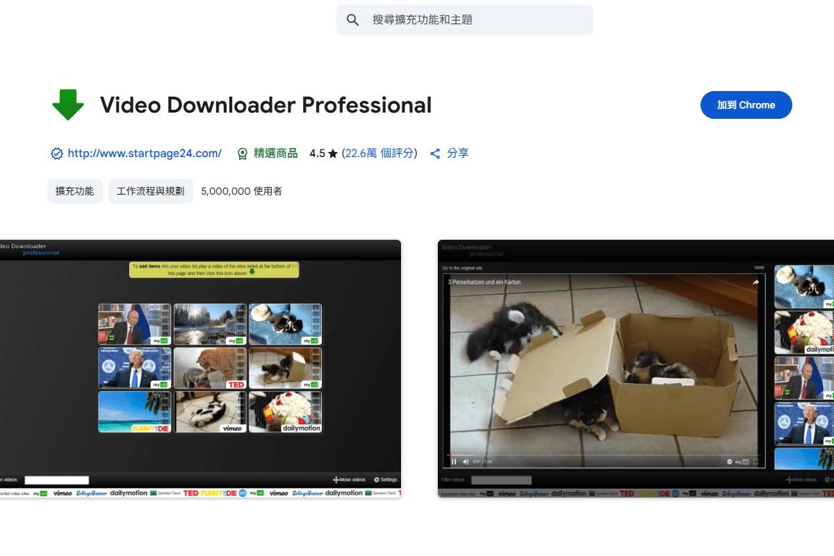 Chrome 擴充外掛：Video Downloader Professional