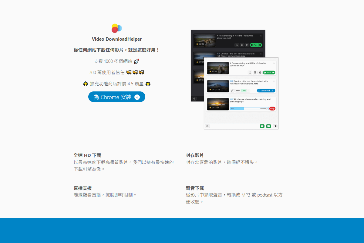 瀏覽器外掛：Video DownloadHelper