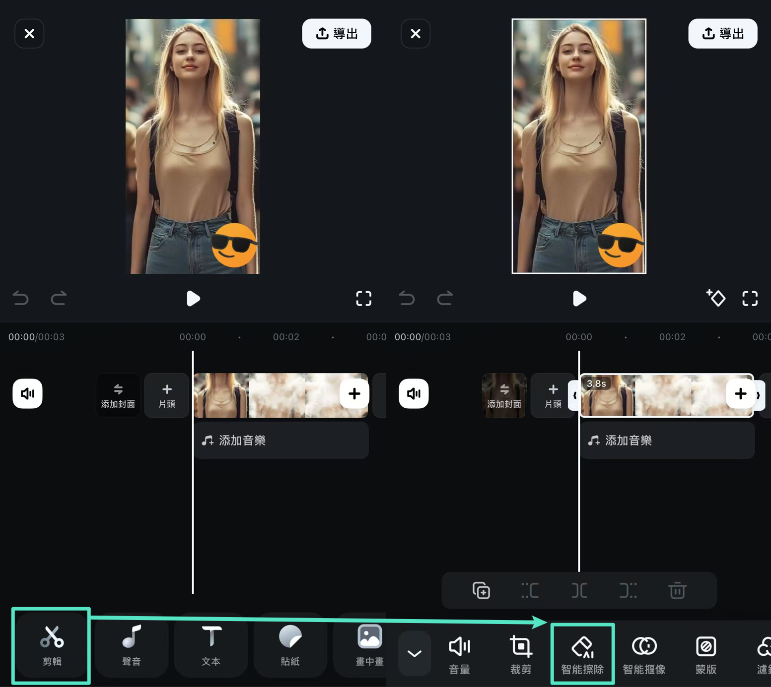 框選並移除 TikTok 貼圖