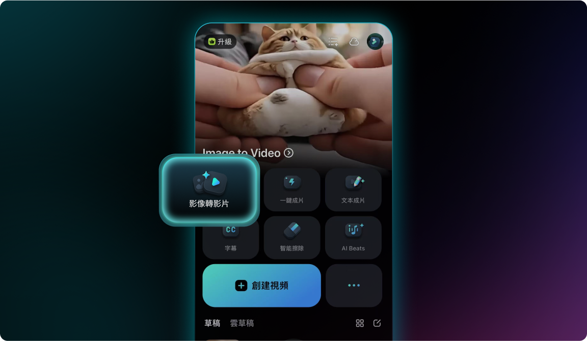 choose ai text to video or AI 圖像轉影片